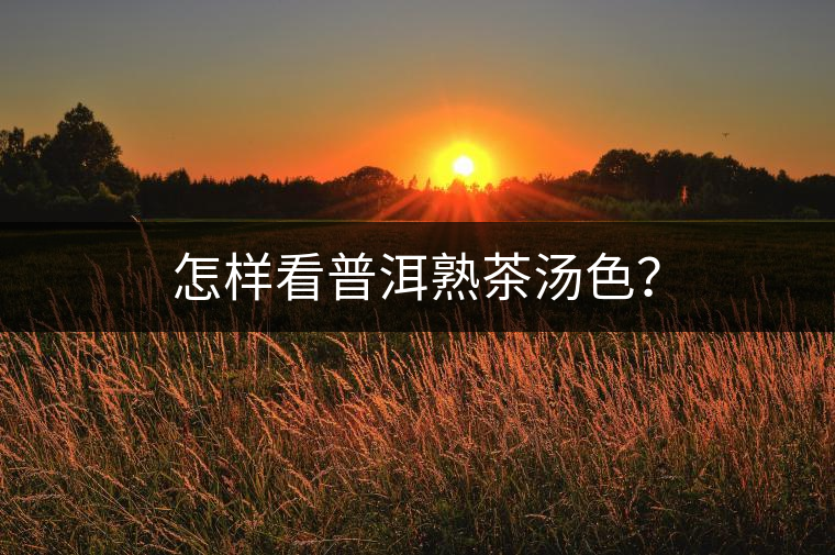 怎樣看普洱熟茶湯色？