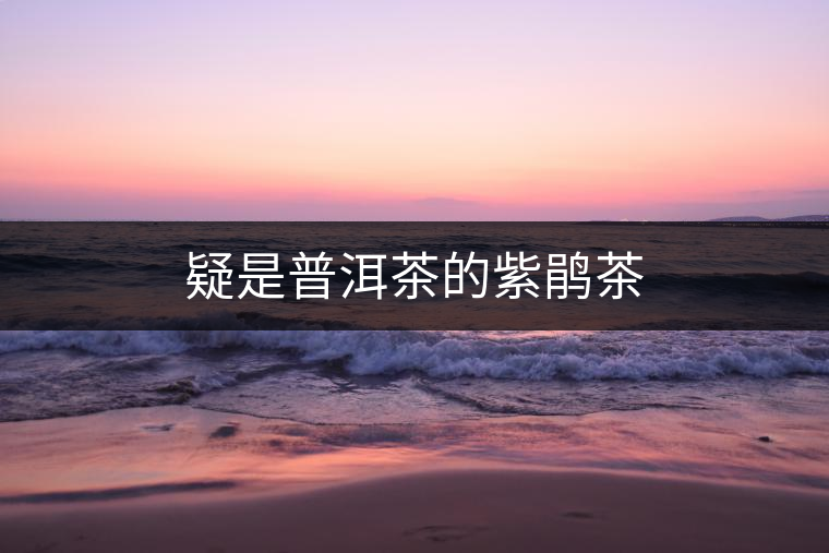 疑是普洱茶的紫鵑茶 疑是普洱茶的紫鵑茶