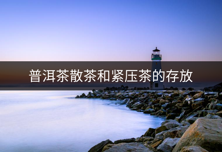普洱茶散茶和緊壓茶的存放 普洱茶散茶和緊壓茶的存放