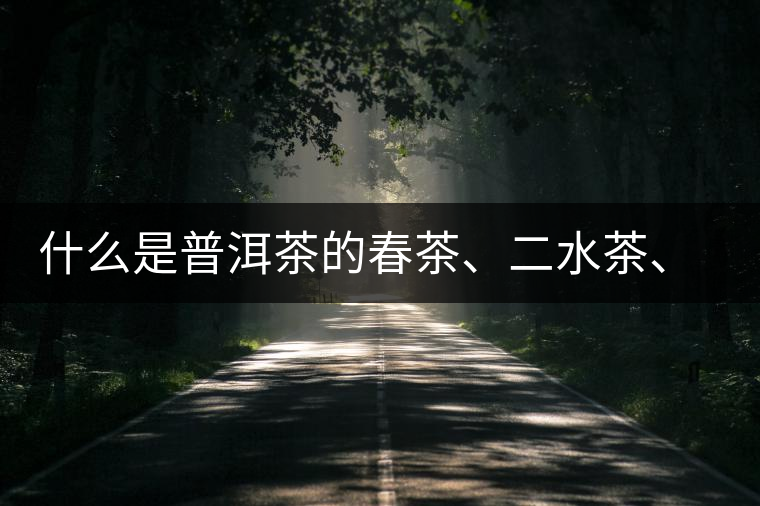 什么是普洱茶的春茶、二水茶、三水茶、四水茶