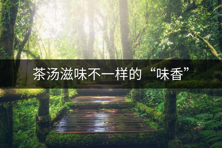 茶湯滋味不一樣的“味香” 茶湯滋味不一樣的“味香”