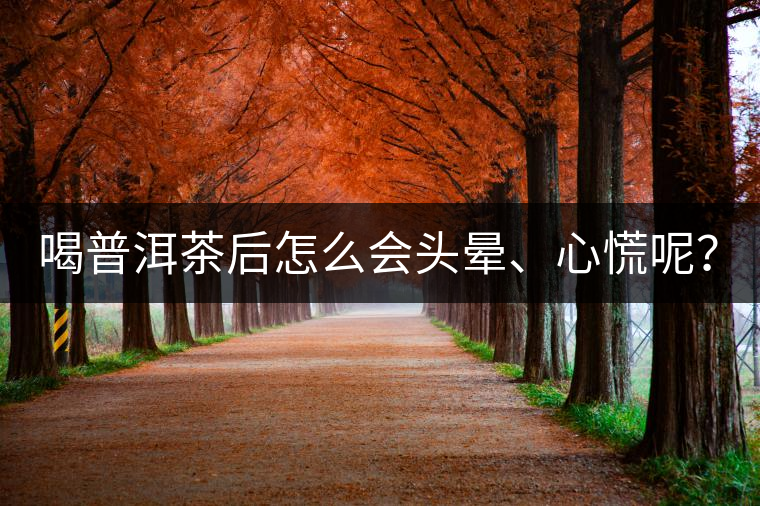 喝普洱茶后怎么會頭暈、心慌呢？