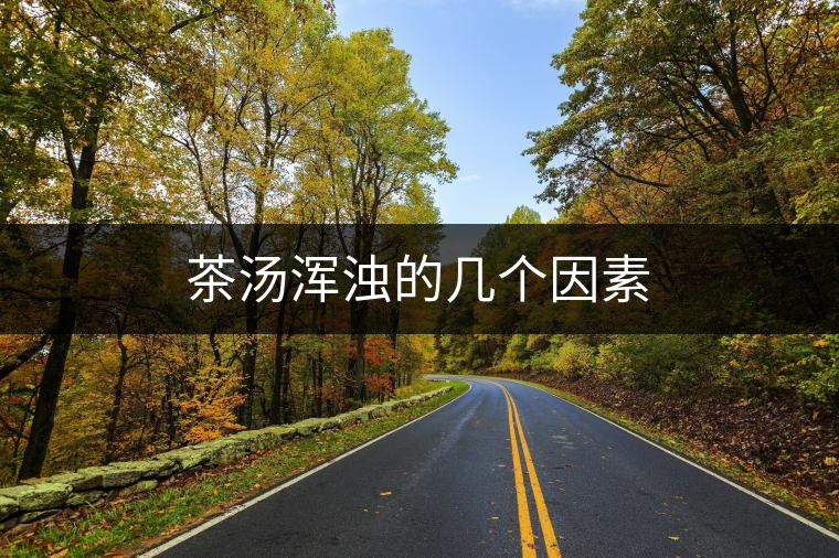 茶湯渾濁的幾個因素 茶湯渾濁的幾個因素