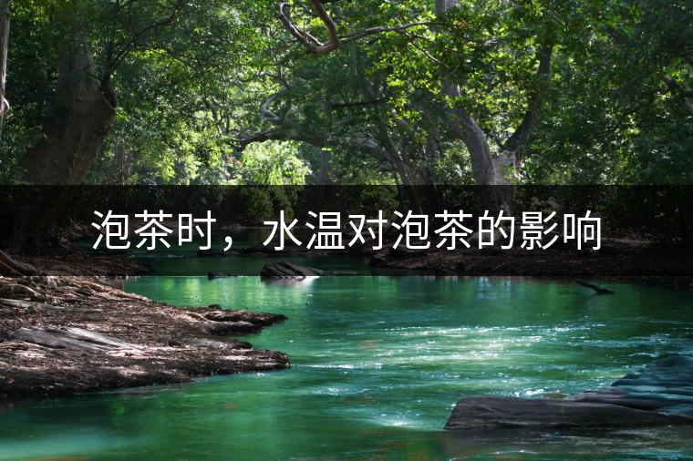泡茶時(shí)，水溫對泡茶的影響