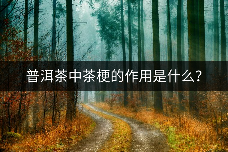普洱茶中茶梗的作用是什么？