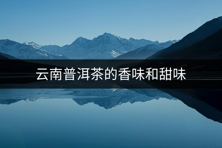 云南普洱茶的香味和甜味 云南普洱茶的香味和甜味
