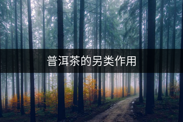 普洱茶的另類作用