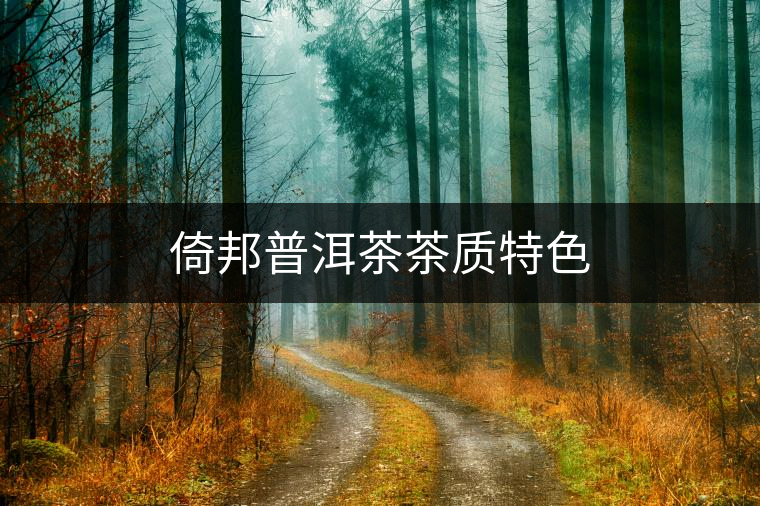 倚邦普洱茶茶質(zhì)特色 倚邦普洱茶茶質(zhì)特色
