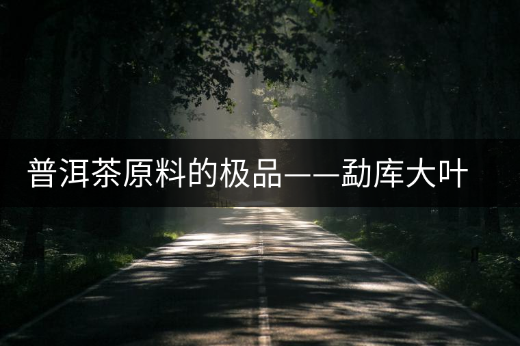 普洱茶原料的極品——勐庫(kù)大葉種茶 普洱茶原料的極品——勐庫(kù)大葉種茶