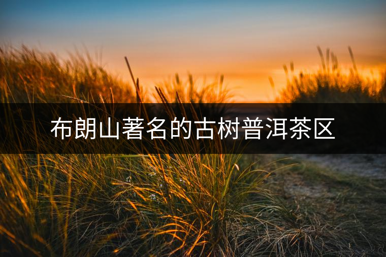 布朗山著名的古樹(shù)普洱茶區(qū) 布朗山著名的古樹(shù)普洱茶區(qū)