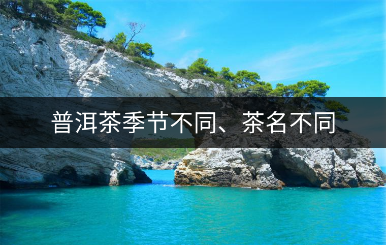 普洱茶季節(jié)不同、茶名不同