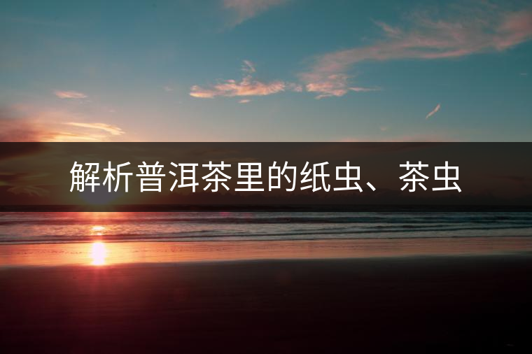 解析普洱茶里的紙蟲(chóng)、茶蟲(chóng)