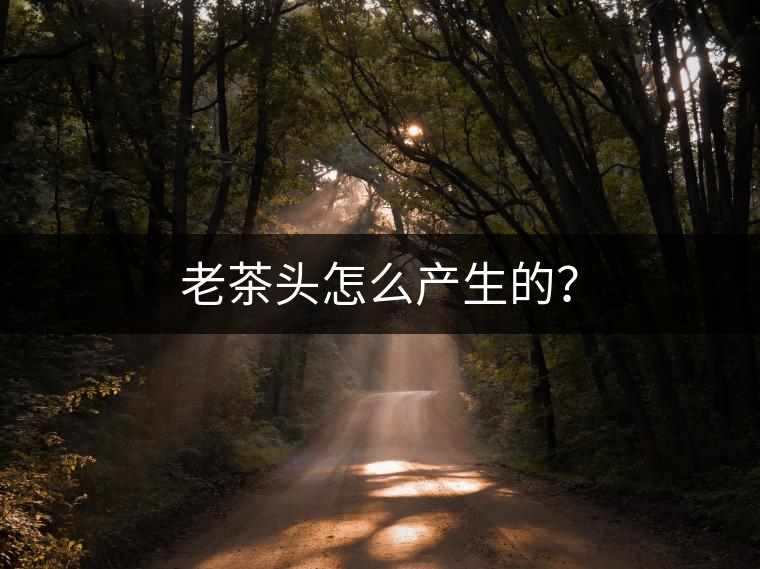 老茶頭怎么產(chǎn)生的？
