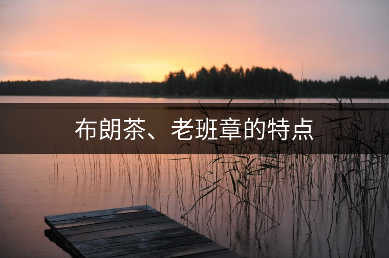 布朗茶、老班章的特點(diǎn)