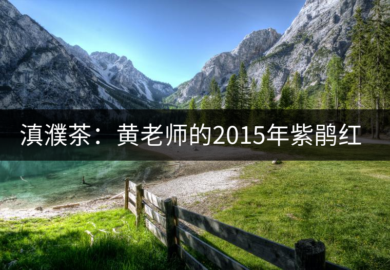 滇濮茶：黃老師的2015年紫鵑紅茶