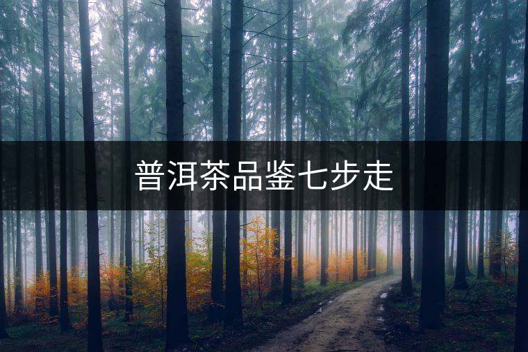 普洱茶品鑒七步走