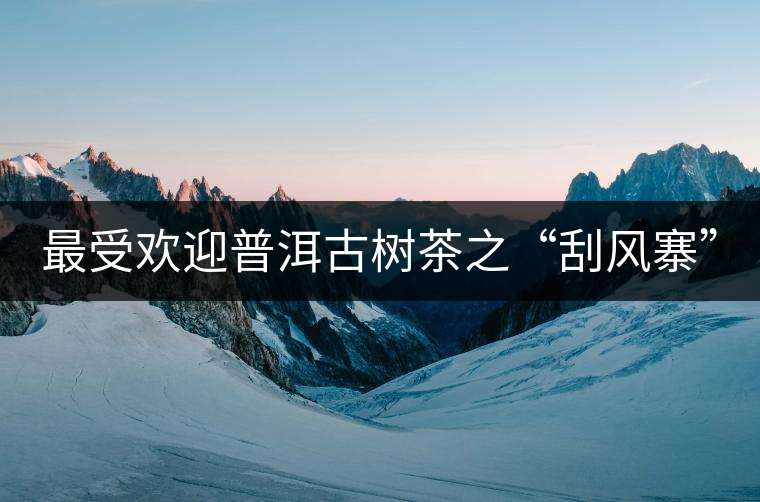 最受歡迎普洱古樹茶之“刮風寨” 最受歡迎普洱古樹茶之“刮風寨”