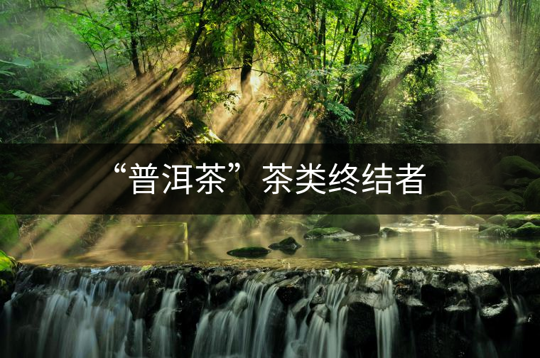 “普洱茶”茶類(lèi)終結(jié)者 “普洱茶”茶類(lèi)終結(jié)者