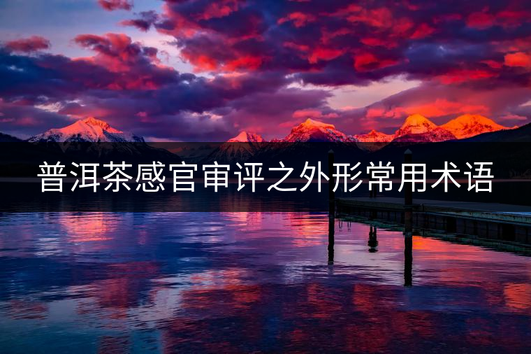 普洱茶感官審評(píng)之外形常用術(shù)語(yǔ) 普洱茶感官審評(píng)之外形常用術(shù)語(yǔ)