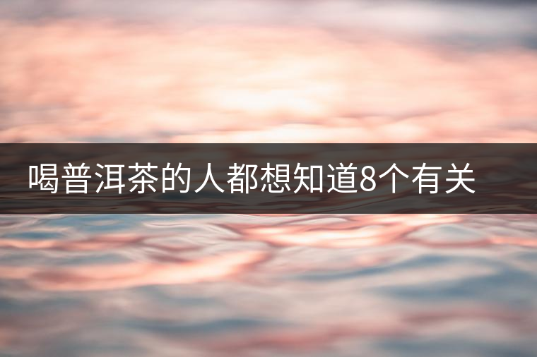 喝普洱茶的人都想知道8個(gè)有關(guān)普洱茶的問題