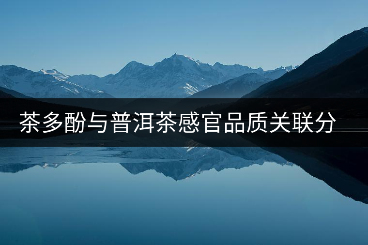 茶多酚與普洱茶感官品質關聯(lián)分析 茶多酚與普洱茶感官品質關聯(lián)分析