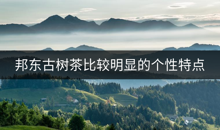 邦東古樹茶比較明顯的個性特點(diǎn) 邦東古樹茶比較明顯的個性特點(diǎn)