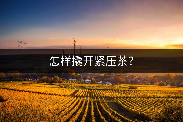 怎樣撬開緊壓茶？