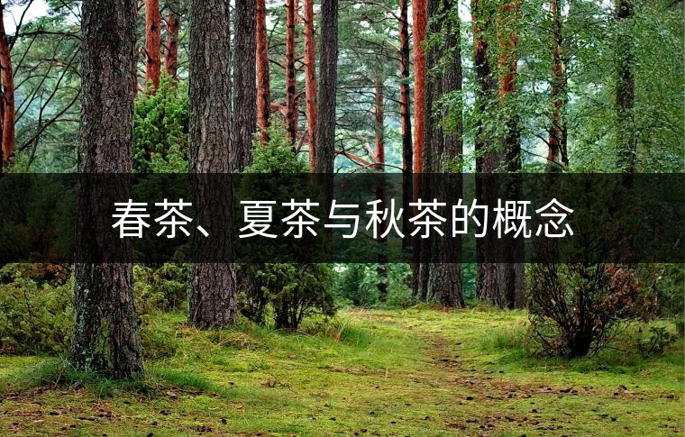 春茶、夏茶與秋茶的概念