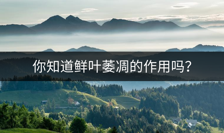 你知道鮮葉萎凋的作用嗎？