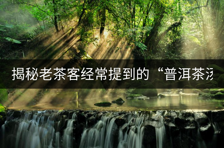 揭秘老茶客經(jīng)常提到的“普洱茶湯感 ” 揭秘老茶客經(jīng)常提到的“普洱茶湯感 ”