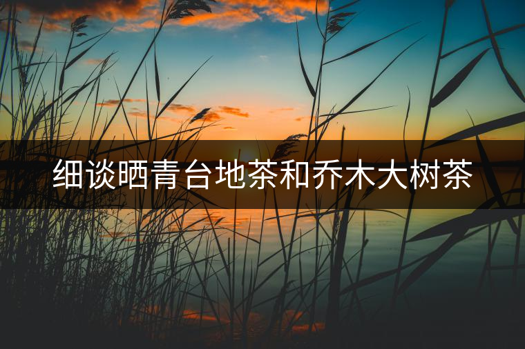 細(xì)談曬青臺(tái)地茶和喬木大樹茶 細(xì)談曬青臺(tái)地茶和喬木大樹茶