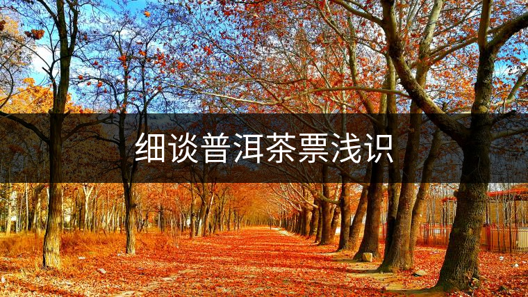 細(xì)談普洱茶票淺識(shí)