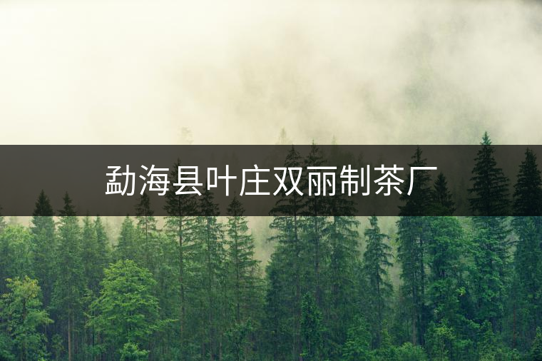 勐?？h葉莊雙麗制茶廠
