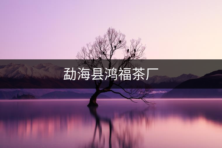 勐?？h鴻福茶廠