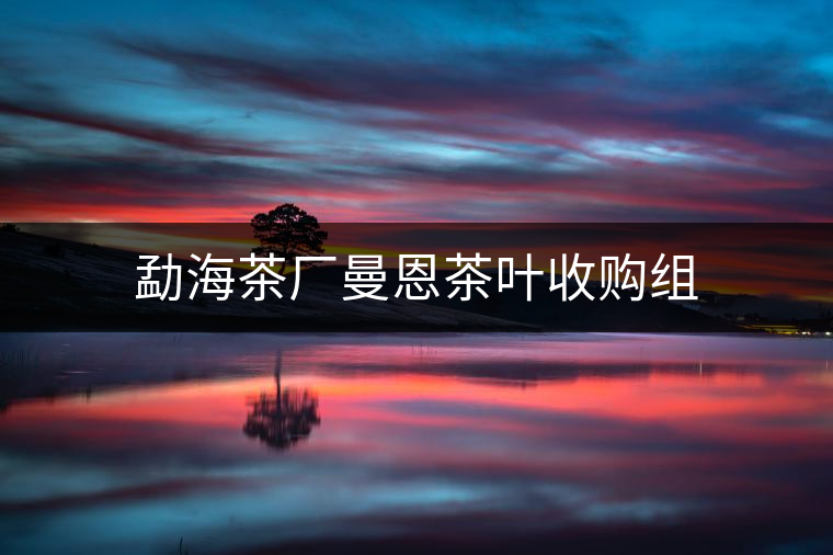 勐海茶廠曼恩茶葉收購(gòu)組 勐海茶廠曼恩茶葉收購(gòu)組