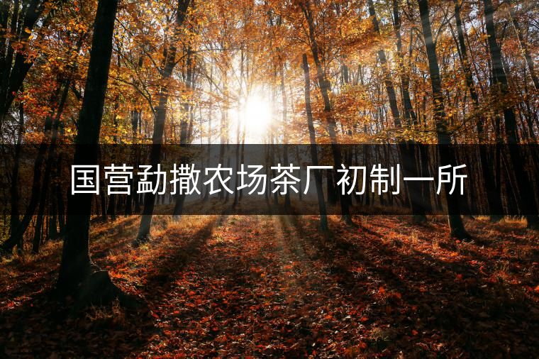 國營勐撒農場茶廠初制一所 國營勐撒農場茶廠初制一所