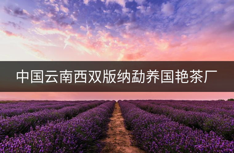 中國云南西雙版納勐養(yǎng)國艷茶廠 中國云南西雙版納勐養(yǎng)國艷茶廠