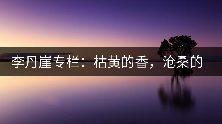 李丹崖專欄：枯黃的香，滄桑的暖