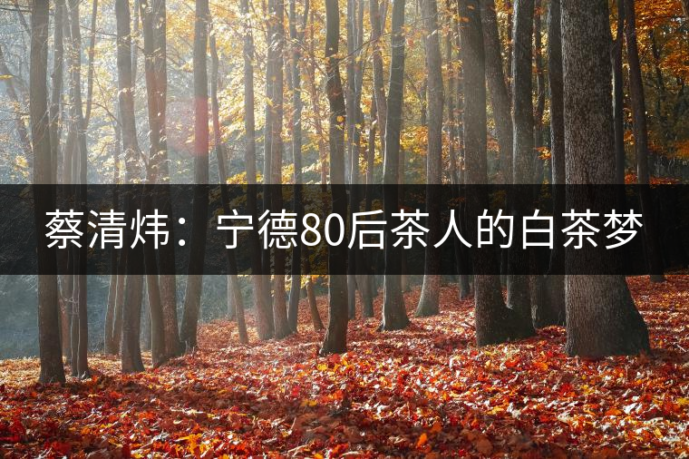蔡清煒:寧德80后茶人的白茶夢(mèng) 蔡清煒:寧德80后茶人的白茶夢(mèng)
