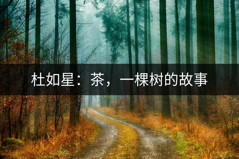 杜如星：茶，一棵樹的故事