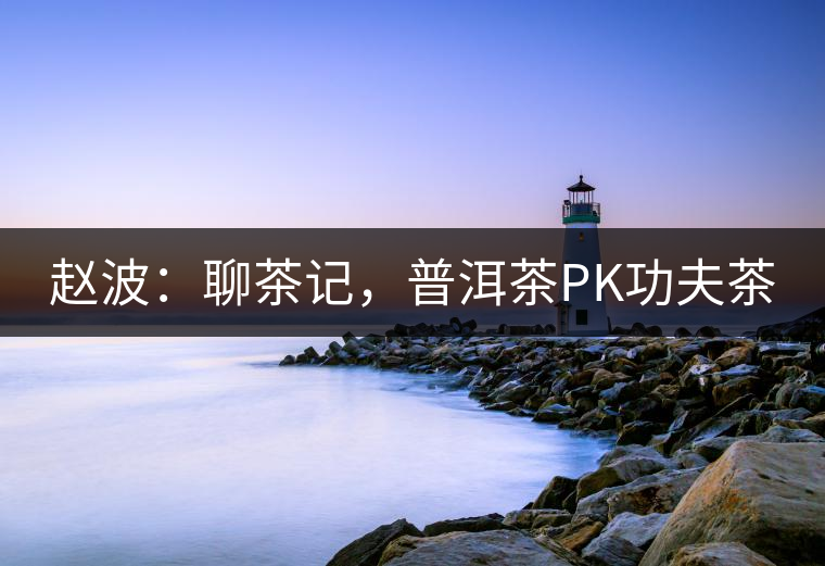 趙波：聊茶記，普洱茶PK功夫茶