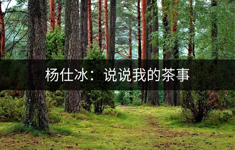楊仕冰：說說我的茶事