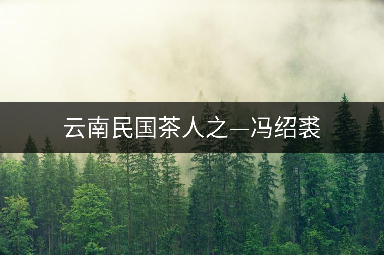 云南民國茶人之—馮紹裘 云南民國茶人之—馮紹裘