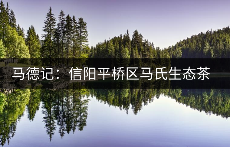 馬德記：信陽平橋區(qū)馬氏生態(tài)茶葉合作社負責人