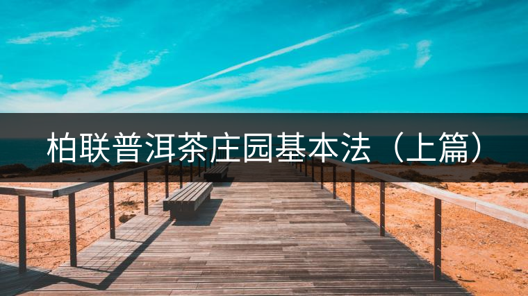 柏聯普洱茶莊園基本法(上篇) 柏聯普洱茶莊園基本法(上篇)