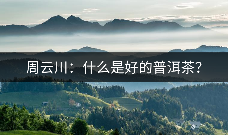 周云川：什么是好的普洱茶？