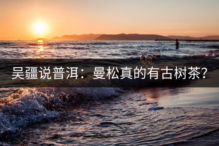 吳疆說普洱：曼松真的有古樹茶？