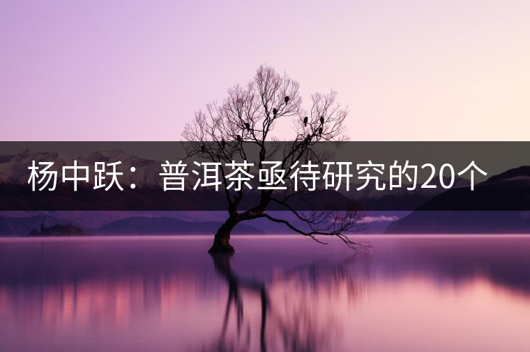 楊中躍:普洱茶亟待研究的20個(gè)問題 楊中躍:普洱茶亟待研究的20個(gè)問題