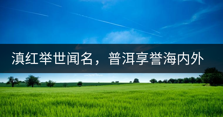 滇紅舉世聞名，普洱享譽(yù)海內(nèi)外丨專家座談——虞富蓮
