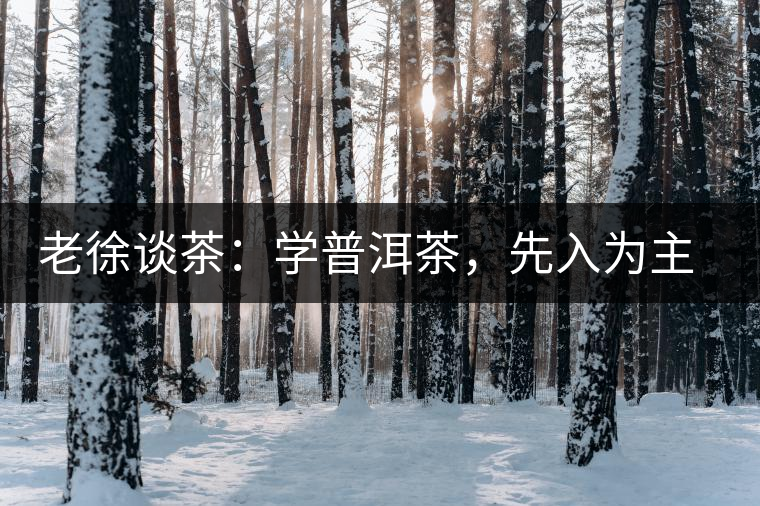 老徐談茶：學(xué)普洱茶，先入為主易被打臉，還得實(shí)踐出真知！